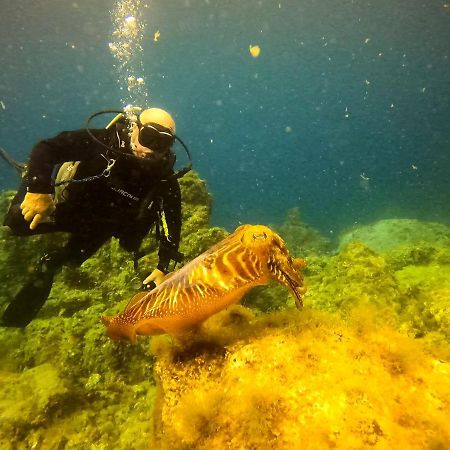 شقة Azul De Eden تياس المظهر الخارجي الصورة
